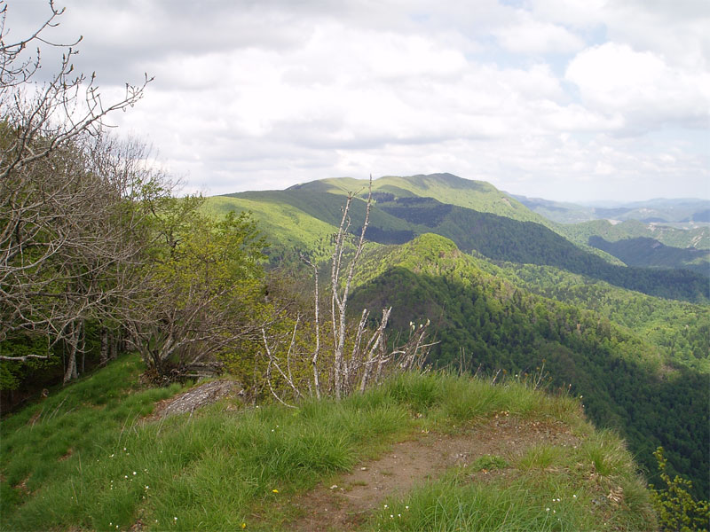 gal/2010/04 - Nel Parco delle foreste Casentinesi - 22 Maggio/02_Monte Penna/9_il_crinale_e_Sassofrat-01.jpg